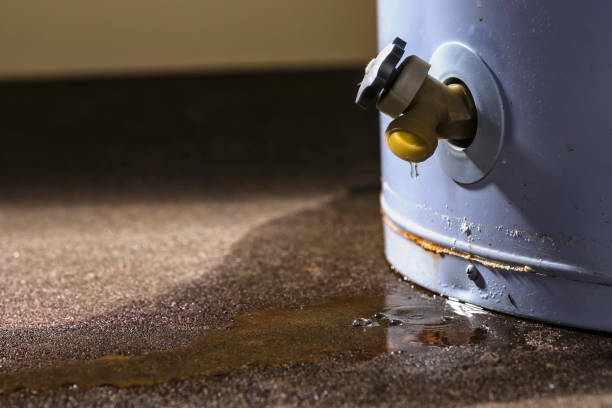 Best Flood restoration services  in Arthur, IL
