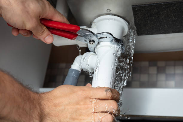 Best Fire Damage Restoration  in Arthur, IL