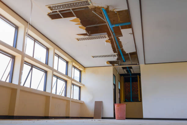 Best Basement water damage restoration  in Arthur, IL