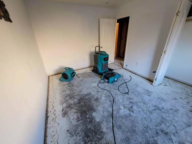 Best Water damage cleanup near me  in Arthur, IL