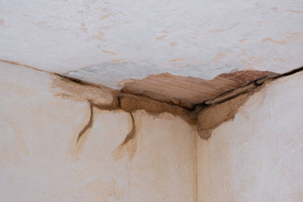 Best Water damage contractors near me  in Arthur, IL