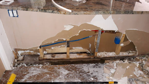 Best 24-hour water damage restoration  in Arthur, IL