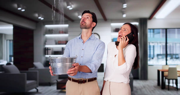 Best 24/7 water damage repair  in Arthur, IL